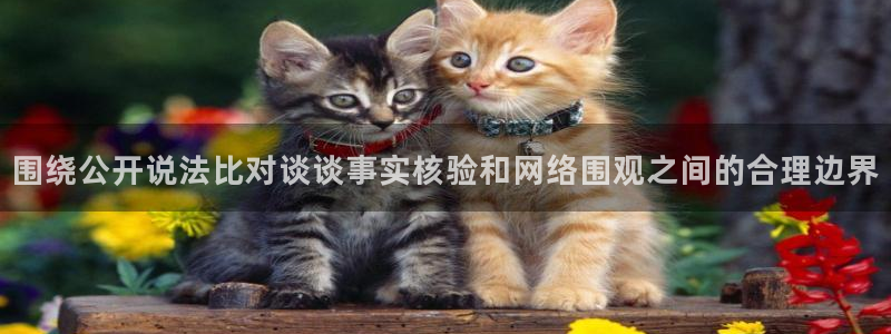 51 吃瓜网